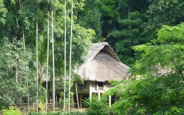 Ngoc Son Ngo Luong Eco Tours 4 days : Jungle trek, homestay, bamboo rafting and waterfall