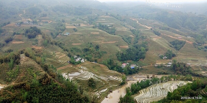Sapa terraced field
