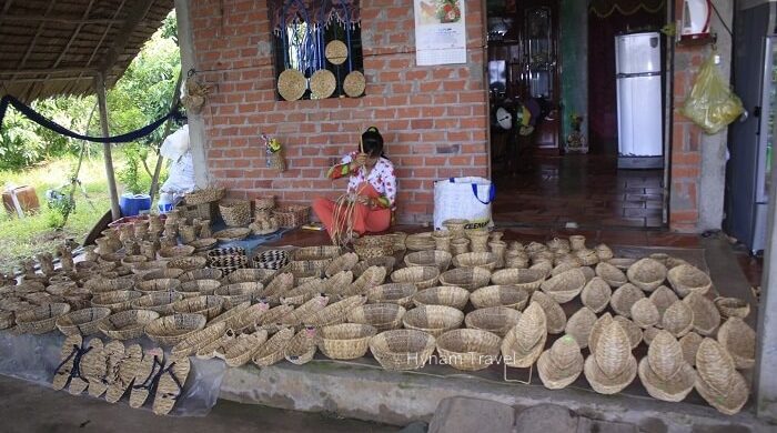 Sedge workshop Mekong